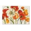 Trademark Fine Art Lisa Audit 'Poppies Melody I' Canvas Art, 22x32 WAP0229-C2232GG